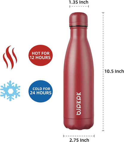 17Oz Insulated Stainless Steel Water Bottles,Sports Water Bottles Keep Cold for 24 Hours and Hot for 12 Hours,Bpa Free for Travel,Brick Red